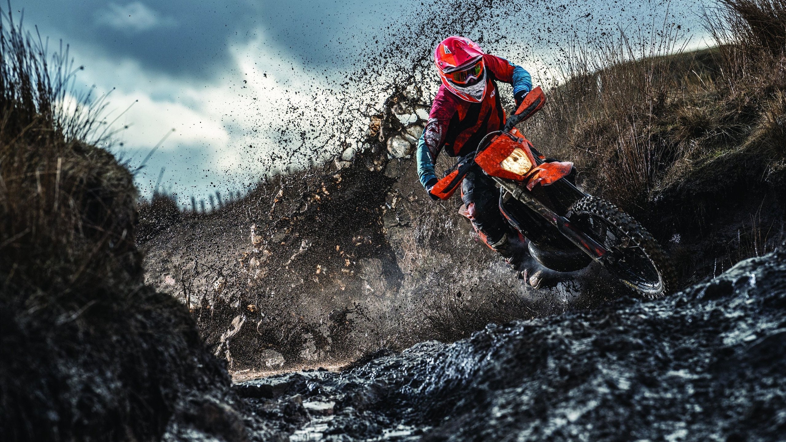 开云网址入口-WRC技术革新：新一代赛车亮点解析，wrc赛事车型